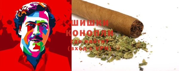 mdpv Богданович
